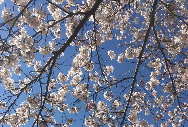 常陸風土記の丘の写真・動画_image_550277