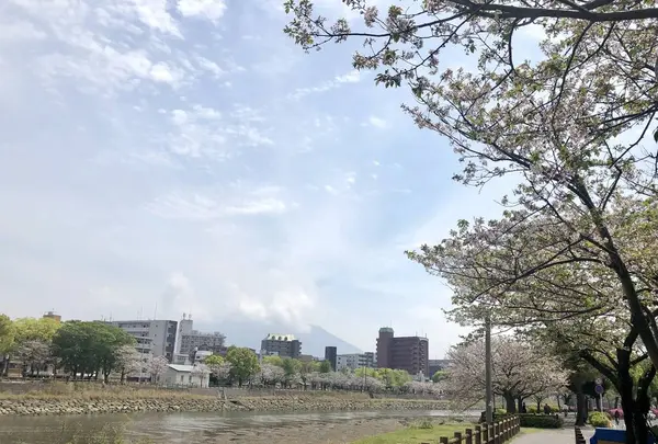 松方橋の写真・動画_image_550828