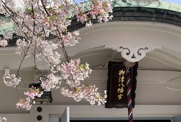 御津宮 (御津八幡宮)の写真・動画_image_552032