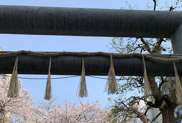 御津宮 (御津八幡宮)の写真・動画_image_552033