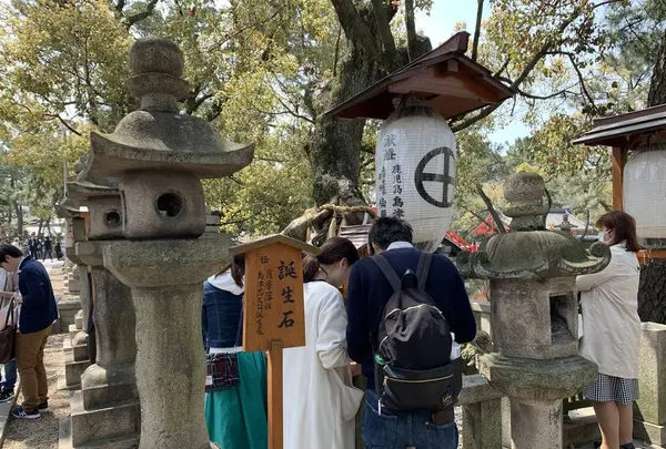 住吉大社の写真・動画_image_552049