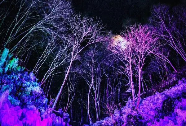 あしがくぼの氷柱の写真・動画_image_552190