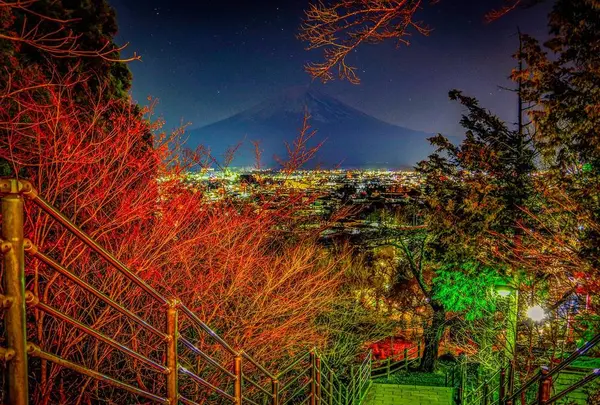 新倉山浅間公園の写真・動画_image_552671