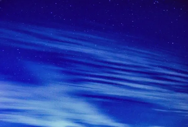 大石公園の写真・動画_image_552686