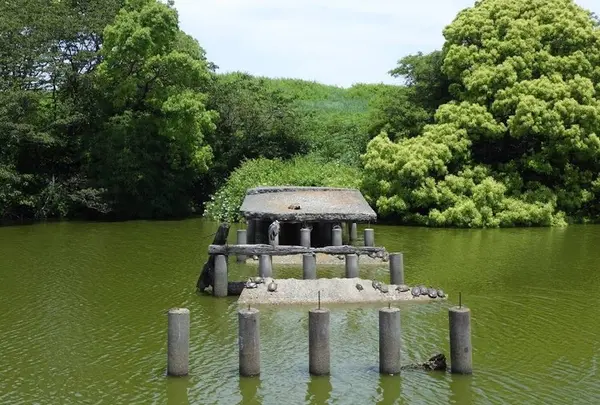 いたすけ古墳の写真・動画_image_552689