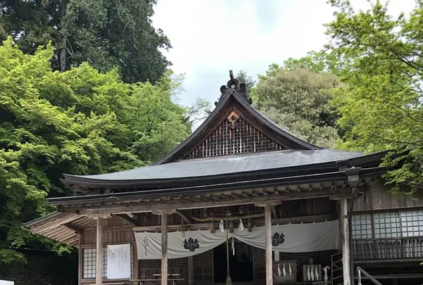 山口大神宮の写真・動画_image_553260