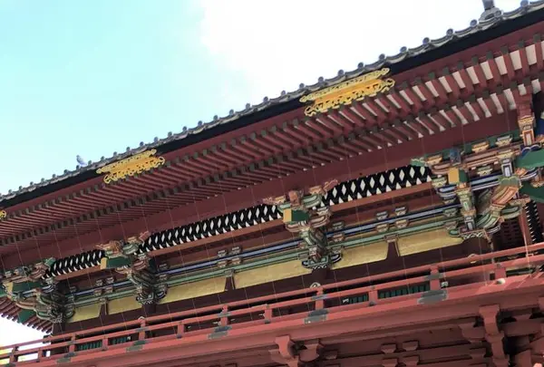 根津神社の写真・動画_image_554001