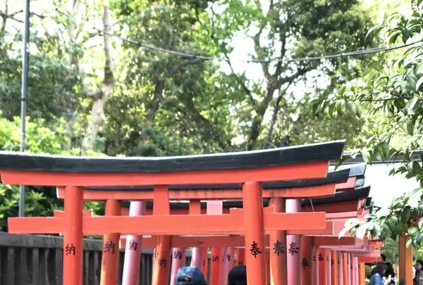 根津神社の写真・動画_image_554002