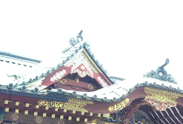 根津神社の写真・動画_image_554003