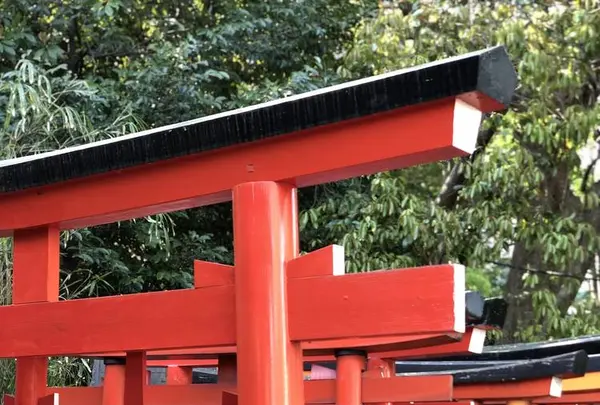 根津神社の写真・動画_image_554004