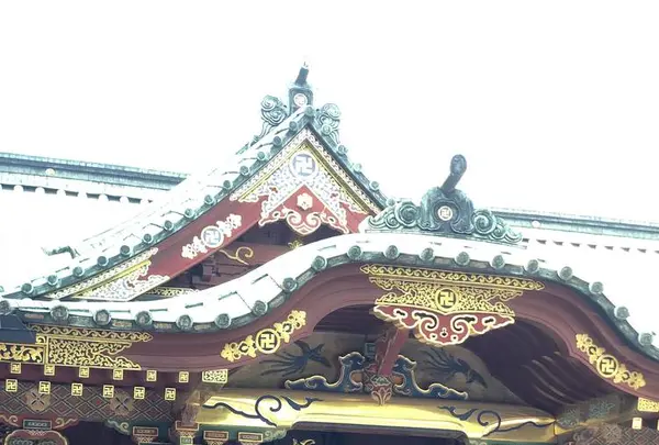根津神社の写真・動画_image_554005