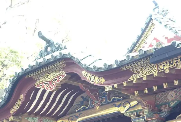 根津神社の写真・動画_image_554006