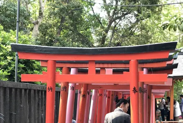 根津神社の写真・動画_image_554007