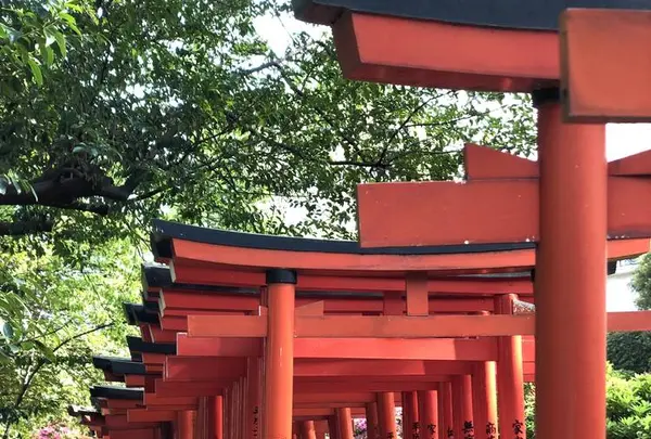 根津神社の写真・動画_image_554008