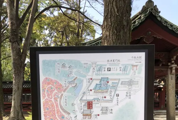 根津神社の写真・動画_image_554009