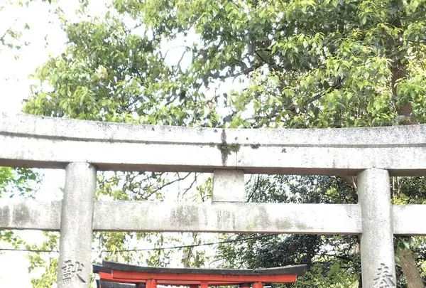 根津神社の写真・動画_image_554010