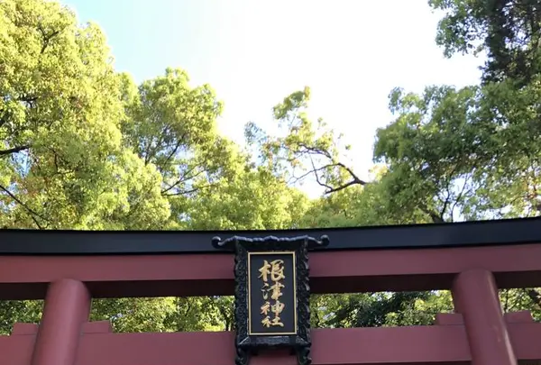 根津神社の写真・動画_image_554011