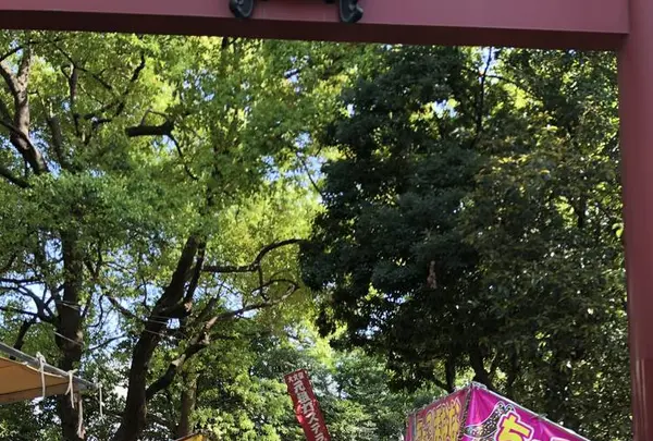 根津神社の写真・動画_image_554012