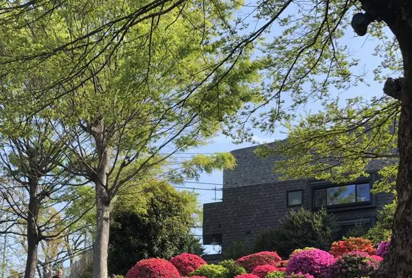 根津神社の写真・動画_image_554014