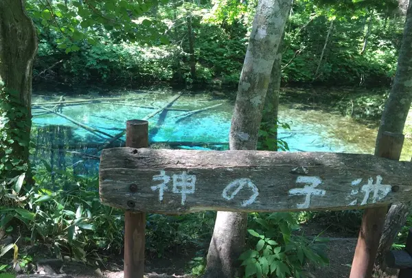 神の子池の写真・動画_image_554409