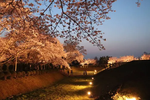 石舞台古墳の写真・動画_image_555058