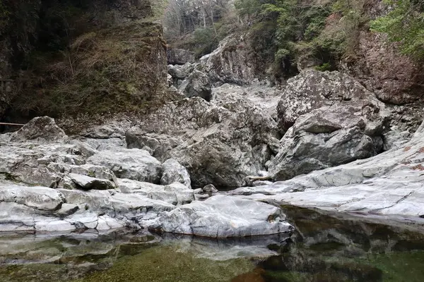 みたらい渓谷の写真・動画_image_555063