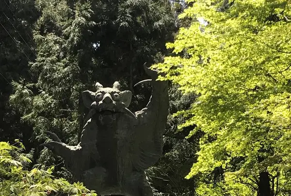 根香寺の写真・動画_image_555068