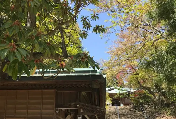 根香寺の写真・動画_image_555070