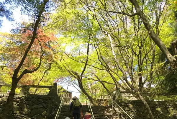 根香寺の写真・動画_image_555071