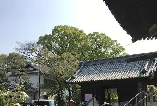 一宮寺の写真・動画_image_555075