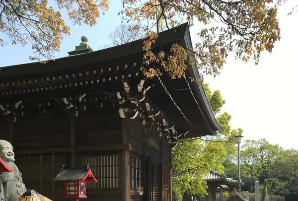 屋島神社の写真・動画_image_555092