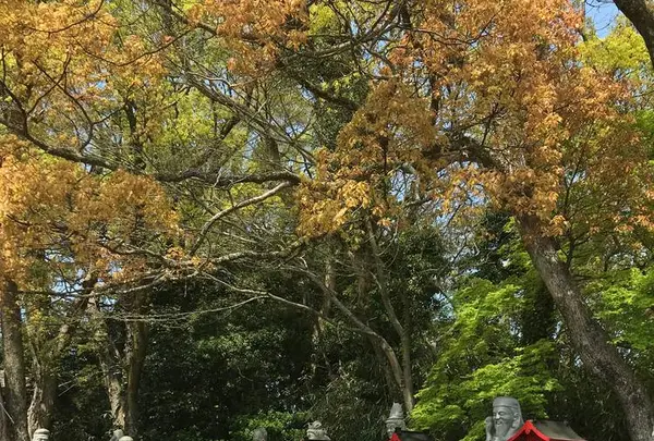 屋島神社の写真・動画_image_555093
