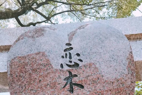 恋木神社の写真・動画_image_556773
