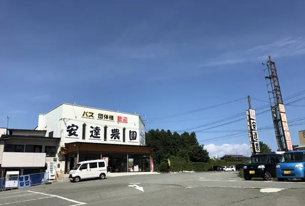 安達農園の写真・動画_image_556791