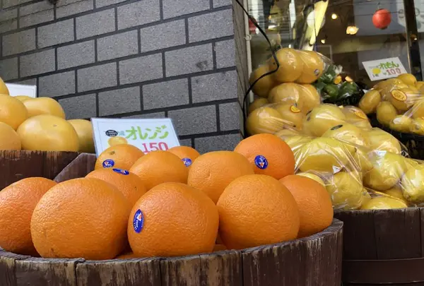 フルーツ大野の写真・動画_image_556806