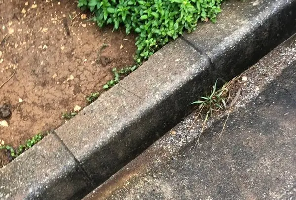 伊良部島の写真・動画_image_556823