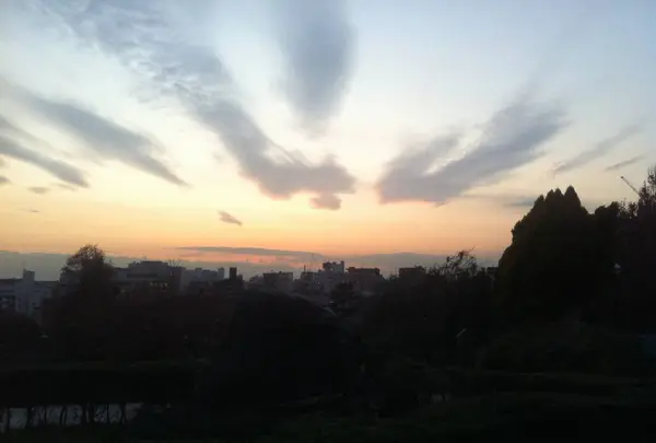西郷山公園の写真・動画_image_556978