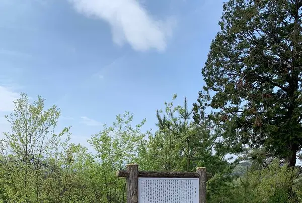 天覧山の写真・動画_image_557279