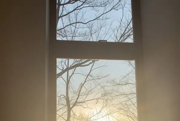 ホテルブレストンコートの写真・動画_image_557402