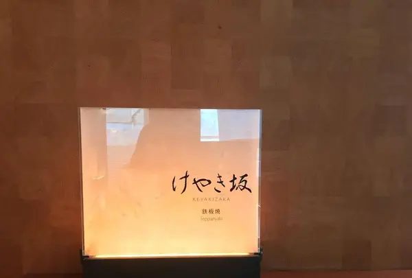 けやき坂の写真・動画_image_557444