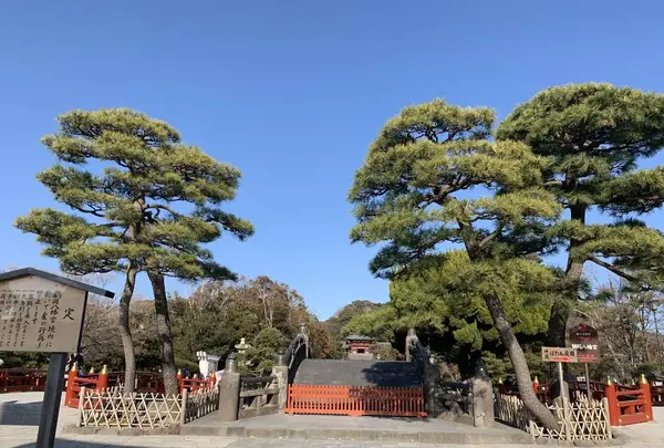 鶴岡八幡宮の写真・動画_image_557505