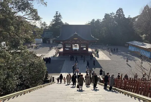 鶴岡八幡宮の写真・動画_image_557506