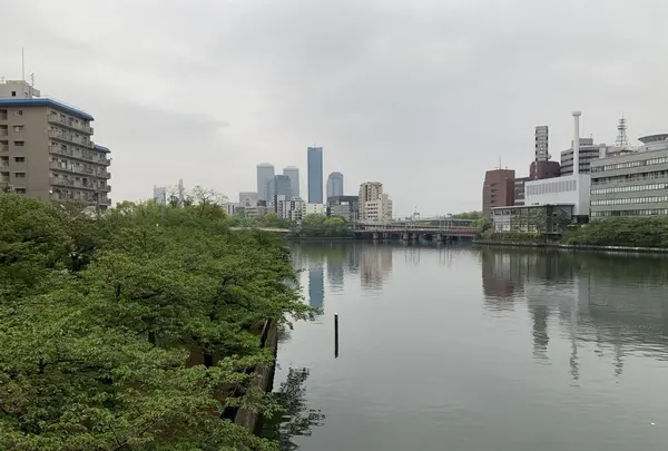 天満橋の写真・動画_image_557557