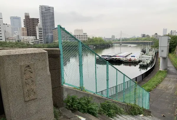 天満橋の写真・動画_image_557560