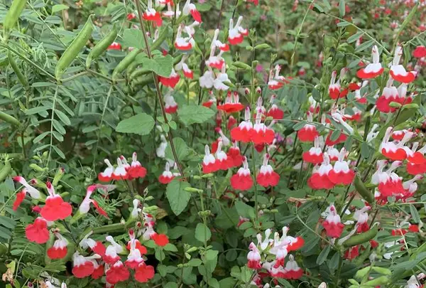 天満橋の写真・動画_image_557563