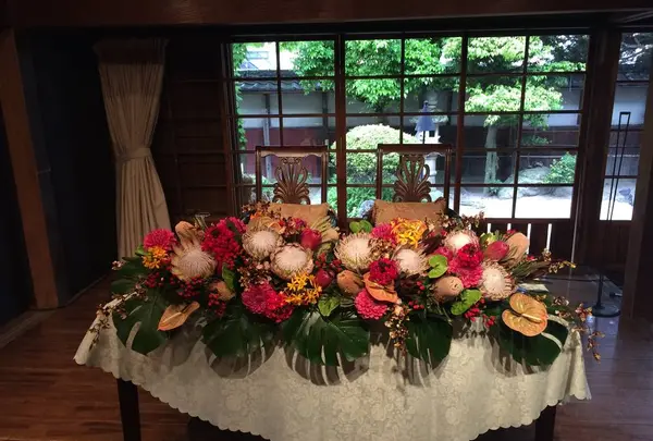 白梅の写真・動画_image_558230