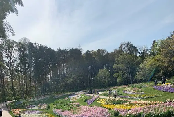 里山ガーデンの写真・動画_image_558244