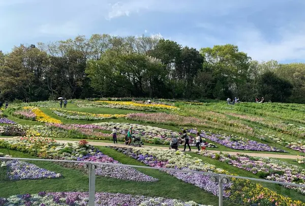 里山ガーデンの写真・動画_image_558246