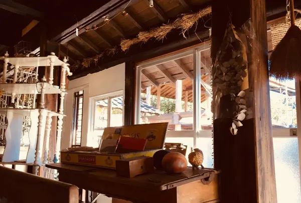 ココペリの写真・動画_image_558254