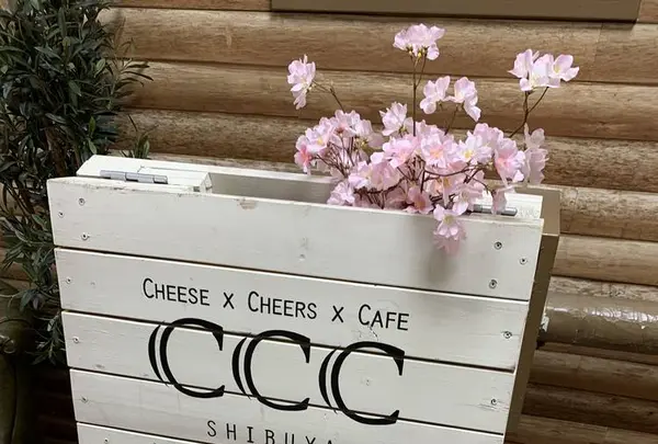 CCC~Cheese Cheers Cafe～ Shibuya （チーズチーズカフェ渋谷）の写真・動画_image_558332